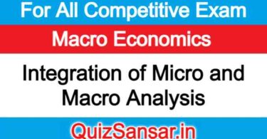 Integration of Micro and Macro Analysis