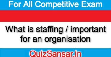 What is staffing / important for an organisation