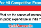 What are the causes of increase in public expenditure in India ?