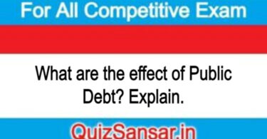 What are the effect of Public Debt? Explain.