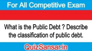 What is the Public Debt ? Describe the classification of public debt.