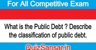 What is the Public Debt ? Describe the classification of public debt.