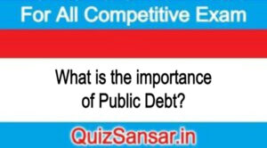 What is the importance of Public Debt?