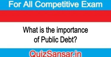 What is the importance of Public Debt?