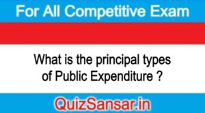 What is the principal types of Public Expenditure ?