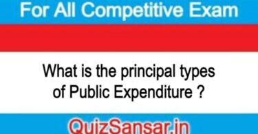 What is the principal types of Public Expenditure ?