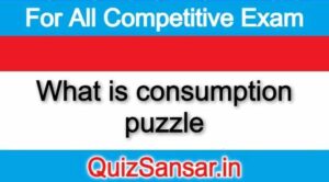 What is consumption puzzle