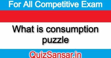 What is consumption puzzle