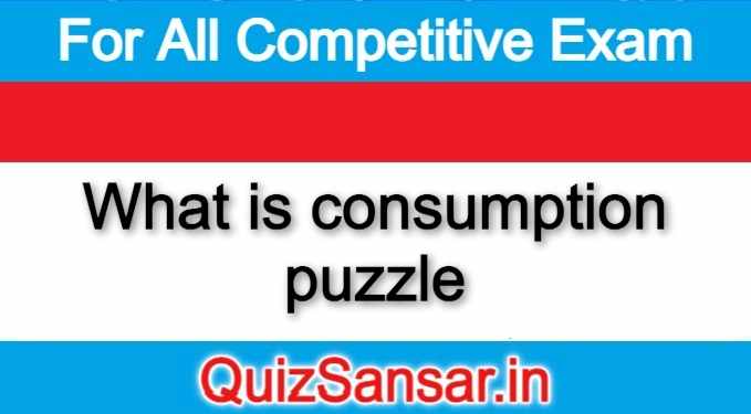 what-is-consumption-puzzle