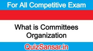 What is Committees Organization