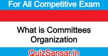 What is Committees Organization