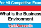 What is the Business Environment
