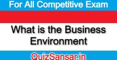 What is the Business Environment