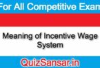 Meaning of Incentive Wage System