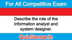 Describe the role of the information analyst and system designer.