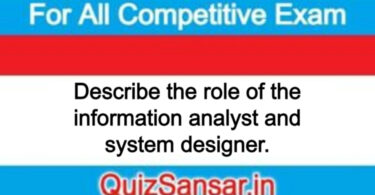 Describe the role of the information analyst and system designer.