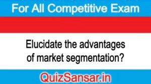 Elucidate the advantages of market segmentation?