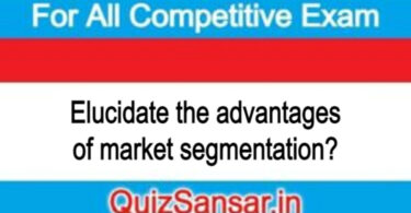 Elucidate the advantages of market segmentation?