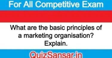 What are the basic principles of a marketing organisation? Explain.