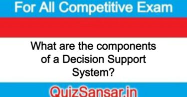 What are the components of a Decision Support System?