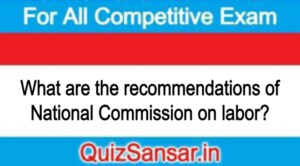 What are the recommendations of National Commission on labor?