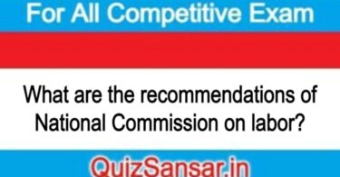 What are the recommendations of National Commission on labor?