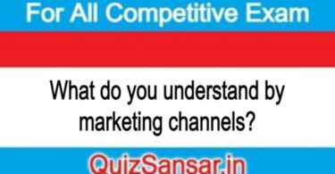 What do you understand by marketing channels?