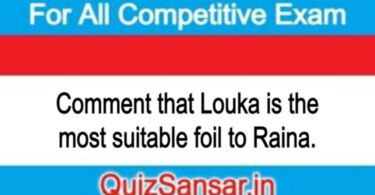 Comment that Louka is the most suitable foil to Raina.