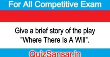 Give a brief story of the play "Where There Is A Will".