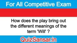 How does the play bring out the different meanings of the term 'Will' ?