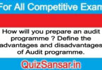 How will you prepare an audit programme ? Define the advantages and disadvantages of Audit programme.