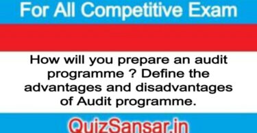 How will you prepare an audit programme ? Define the advantages and disadvantages of Audit programme.