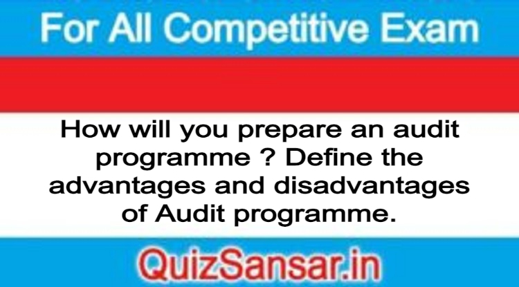 How Will You Prepare An Audit Programme ? Define The Advantages