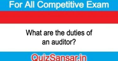 What are the duties of an auditor?