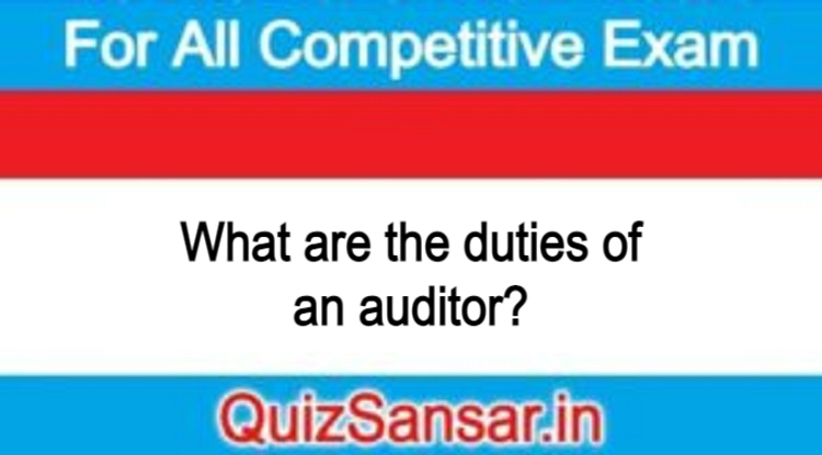 what-are-the-duties-of-an-auditor