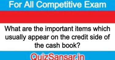 What are the important items which usually appear on the credit side of the cash book?