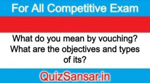 What do you mean by vouching? What are the objectives and types of its?