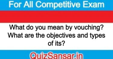 What do you mean by vouching? What are the objectives and types of its?