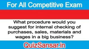 What procedure would you suggest for internal checking of purchases, sales, materials and wages in a big business?