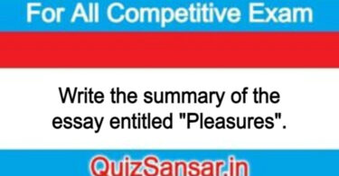 Write the summary of the essay entitled "Pleasures".