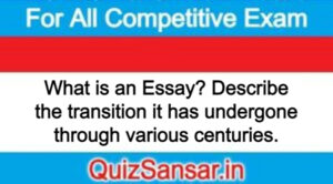 What is an Essay? Describe the transition it has undergone through various centuries.