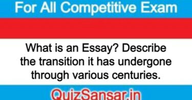 What is an Essay? Describe the transition it has undergone through various centuries.