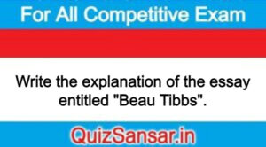 Write the explanation of the essay entitled "Beau Tibbs".