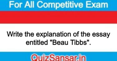 Write the explanation of the essay entitled "Beau Tibbs".