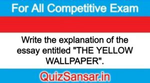 Write the explanation of the essay entitled "THE YELLOW WALLPAPER".