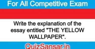 Write the explanation of the essay entitled "THE YELLOW WALLPAPER".