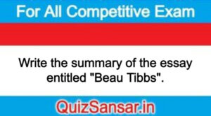 Write the summary of the essay entitled "Beau Tibbs".