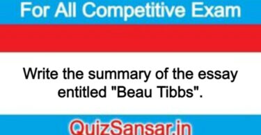 Write the summary of the essay entitled "Beau Tibbs".