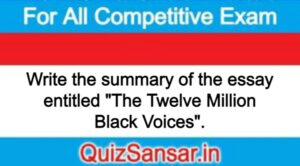 Write the summary of the essay entitled "The Twelve Million Black Voices".