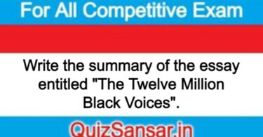 Write the summary of the essay entitled "The Twelve Million Black Voices".